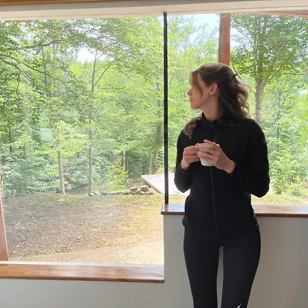 Villa Forest House *