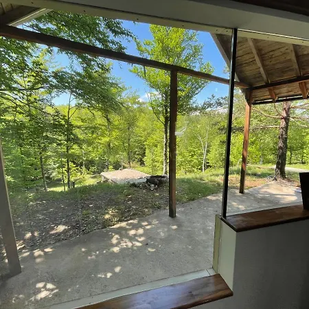 Forest House