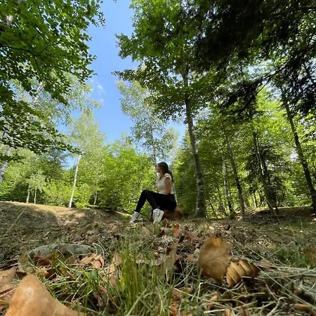 Villa Forest House *