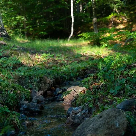 Forest House Villa Divčibare