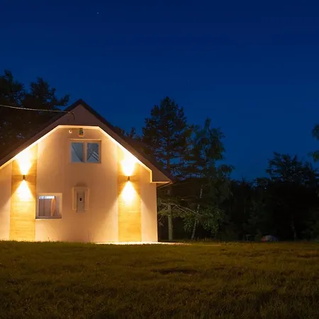 Vilă Forest House *