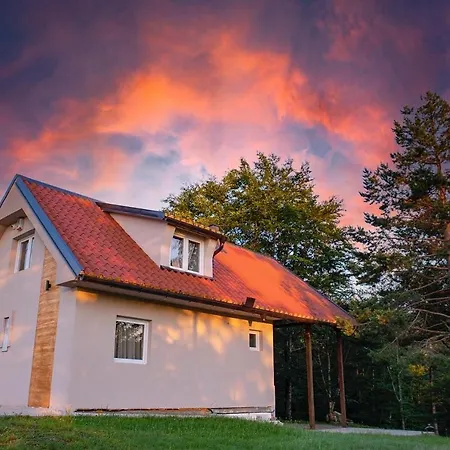 Forest House Villa