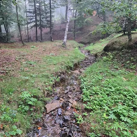 Villa Forest House Divčibare