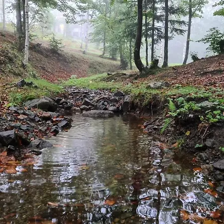 Forest House Divčibare