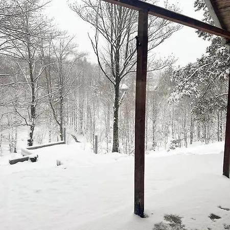 Forest House Divcibare