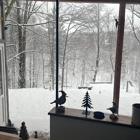 Forest House Villa *