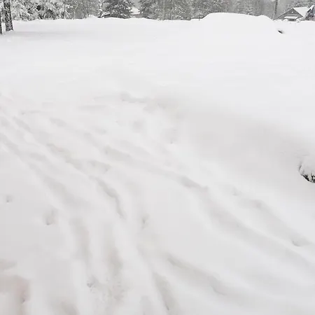 Villa Forest House Divčibare