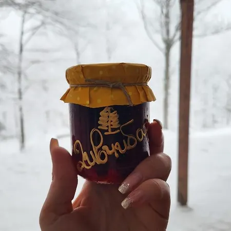 Forest House Villa Divčibare