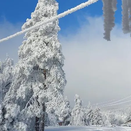 Villa Forest House Divčibare