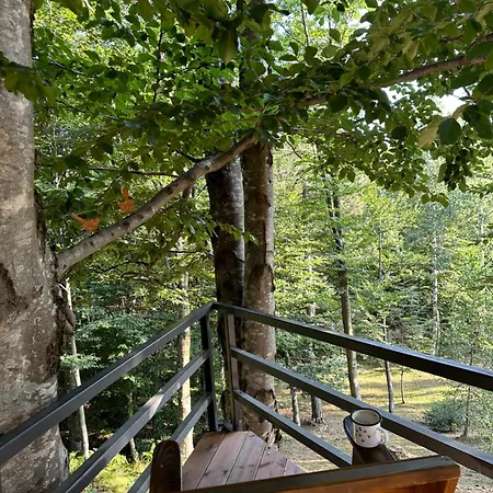 Forest House Villa