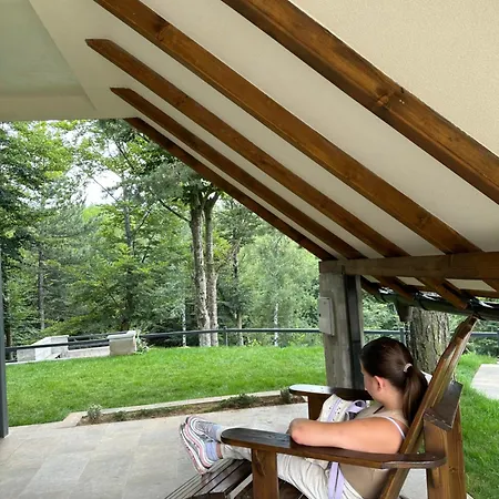 Forest House Villa Divčibare