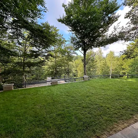 Villa Forest House Divčibare